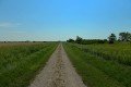 D85_1434a