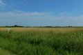 D85_1435a