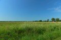 D85_1436a
