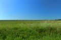 D85_1437a