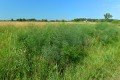 D85_1438a