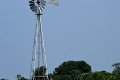 DZ8_4376a