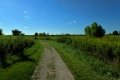 D85_1489a