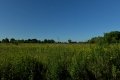 D85_1490a