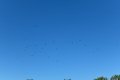 D85_1493a