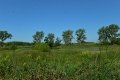 D85_1495a