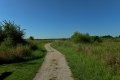 D85_1496a