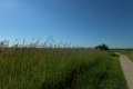 D85_1497a