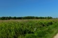D85_1504a