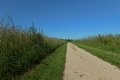 D85_1507a