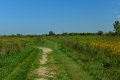 D85_1512a