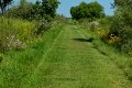 D85_1519a