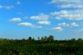 D85_1521a