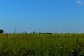 D85_1522a