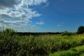 D85_1524a
