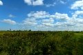 D85_1525a
