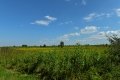 D85_1529a
