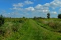 D85_1532a