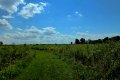 D85_1533a