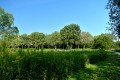 D85_1472a