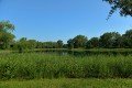 D85_1478a