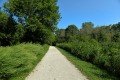 D85_1479a