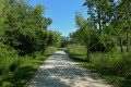 D85_1480a