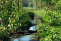 D85_1481a