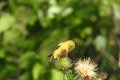 DSCN7946
