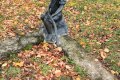 IMG20251026094951