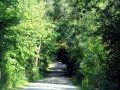 DSC01530