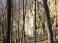 dsc07347