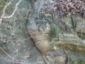 dsc07390