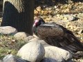 dsc07061