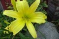 DSC09727
