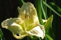 DSC09738