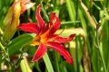 DSC09755