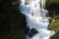 Ital_sm183