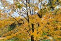 IMG20251021121326