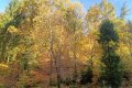 IMG20251025102548