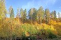 IMG20251025102805