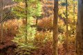 IMG20251025103935