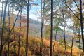 IMG20251025104808