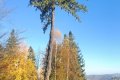 IMG20251101095544