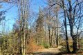 IMG20251101101027