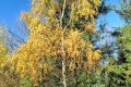 IMG20251101112404