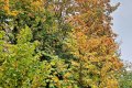 IMG20251011144121