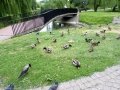 SAMSUNG CAMERA PICTURES