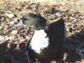 dsc06977