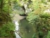 img_4965s